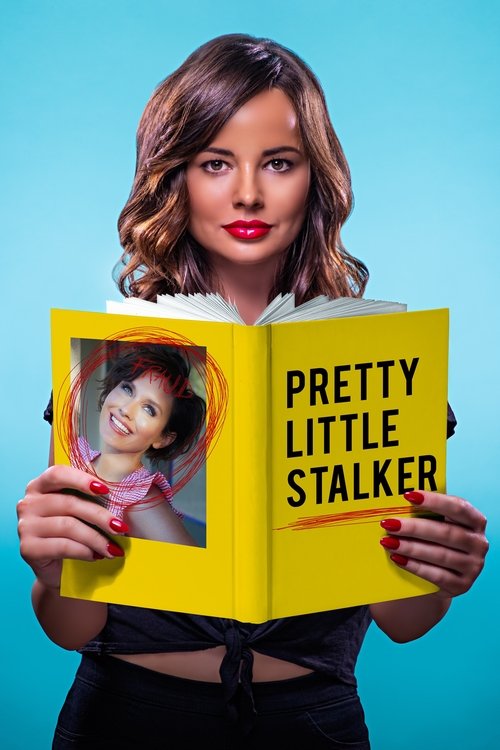 Pretty Little Stalker 海报