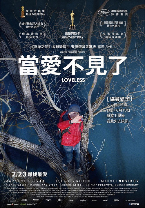 无爱可诉 海报