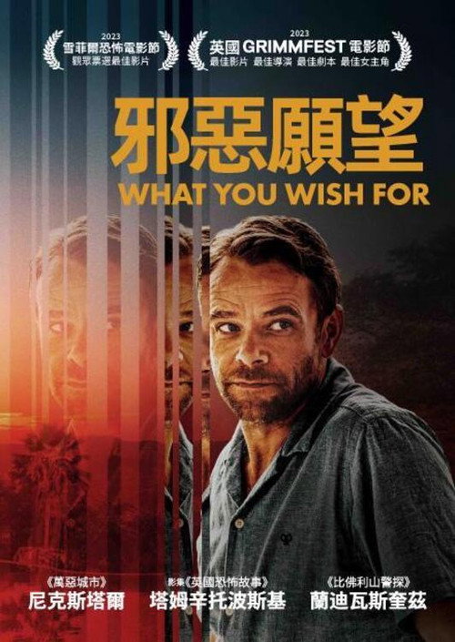 邪恶愿望 海报