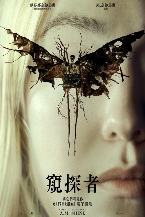 神秘窥视 海报