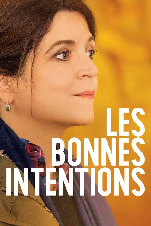 Les Bonnes intentions 海报