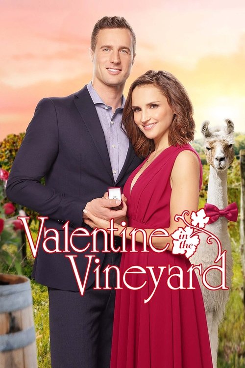 Valentine in the Vineyard 海报