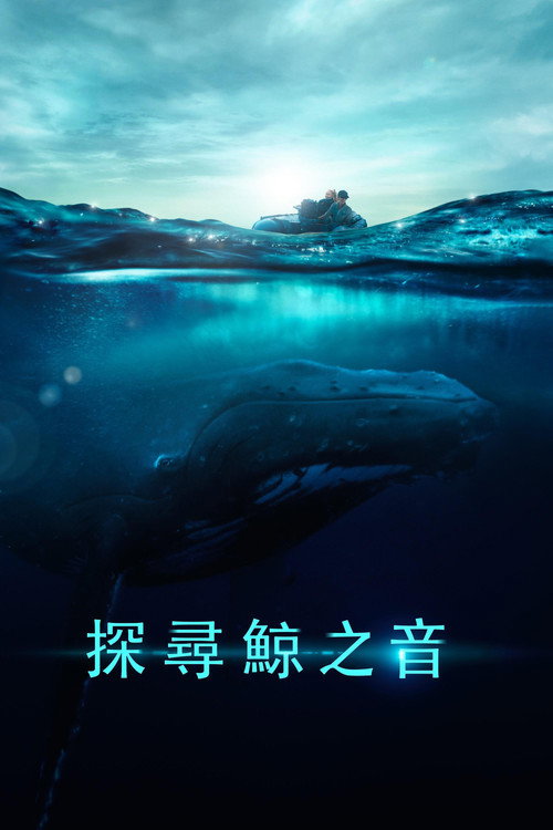 探寻鲸之音 海报