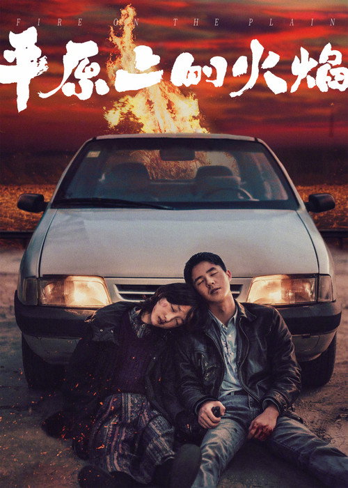 平原上的火焰 海报