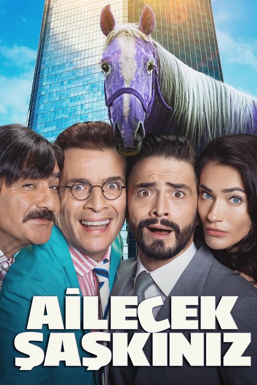 Ailecek Şaşkınız 海报