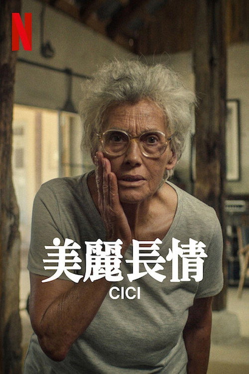 美丽长情 海报