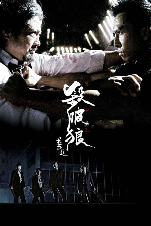 杀破狼 海报