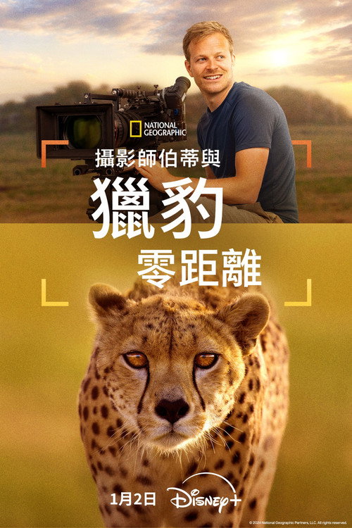 摄影师伯蒂与猎豹零距离 海报