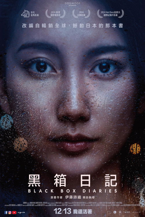 黑箱日记 海报