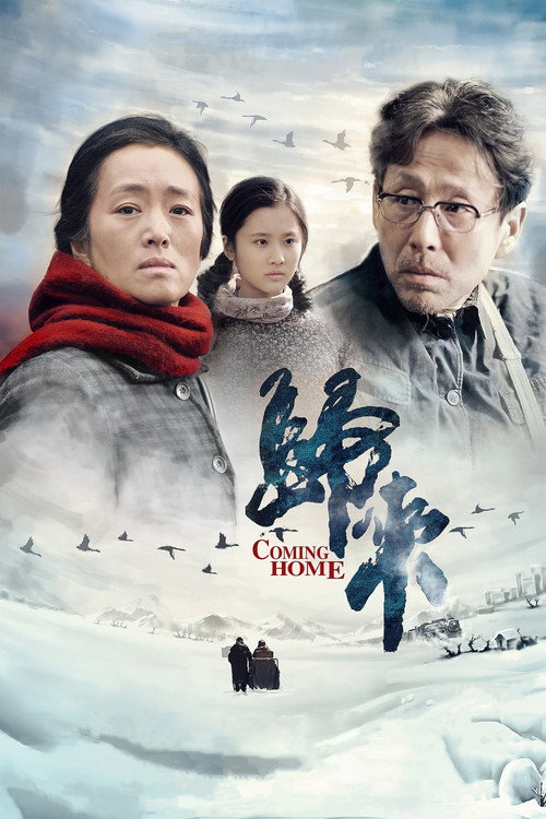 归来 海报