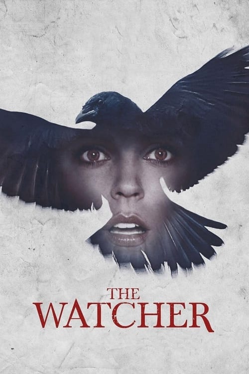 The Watcher 海报