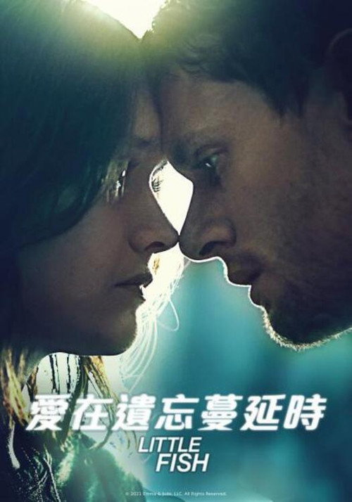 小鱼 海报