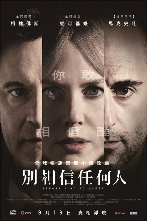 在我入睡前 海报