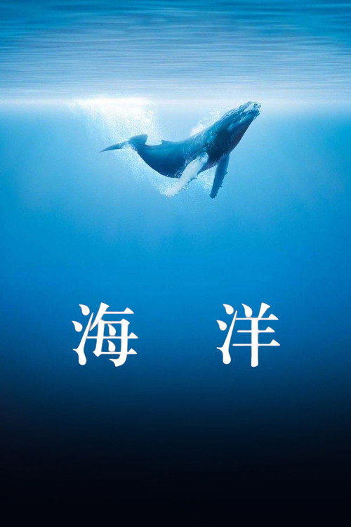 海洋 海报