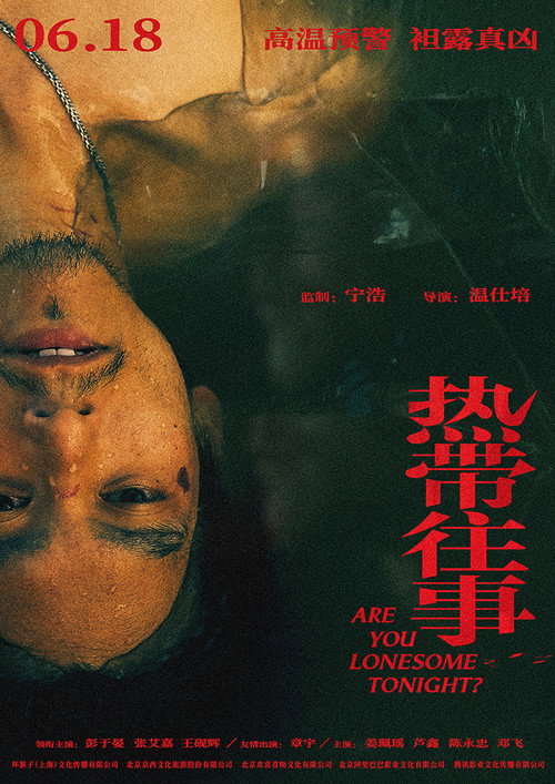 热带往事 海报