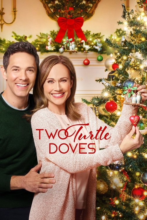 Two Turtle Doves 海报