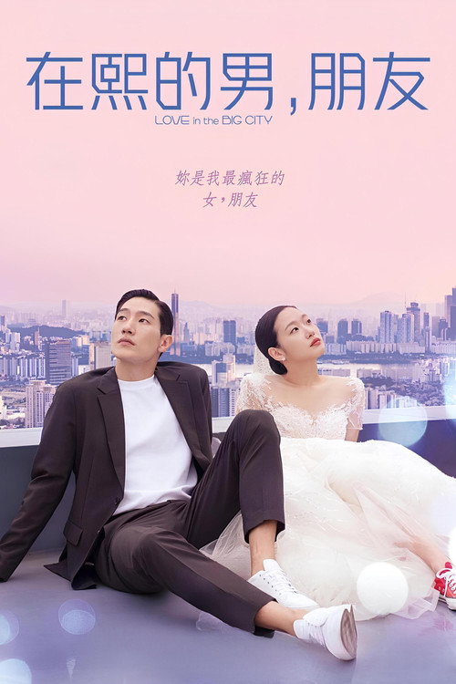 大都市的爱情法 海报