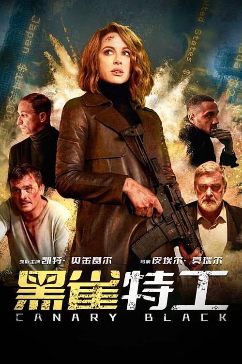 黑雀特工 海报