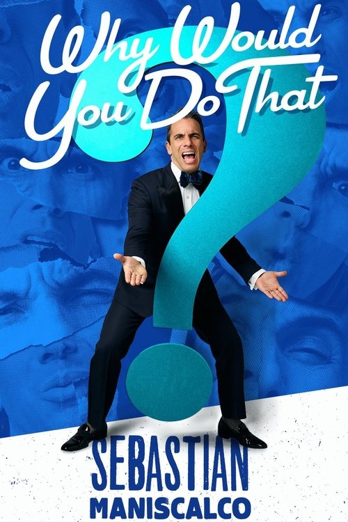 Sebastian Maniscalco: Why Would You Do That? 海报