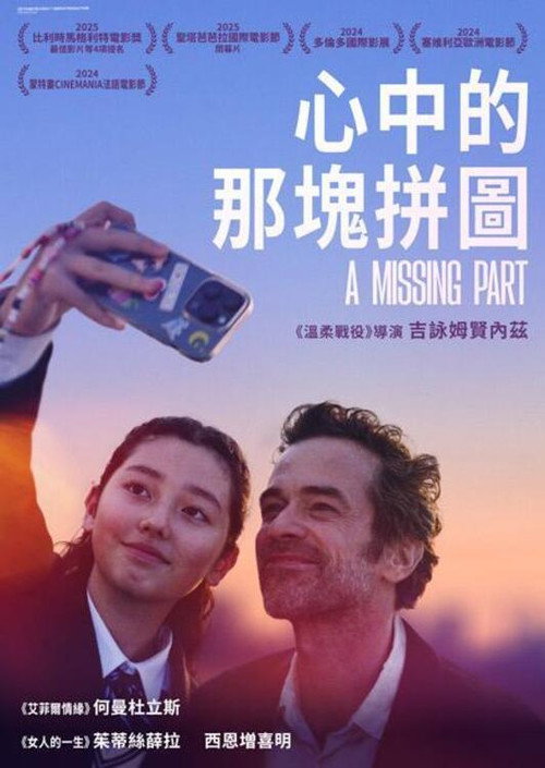缺失的部分 海报