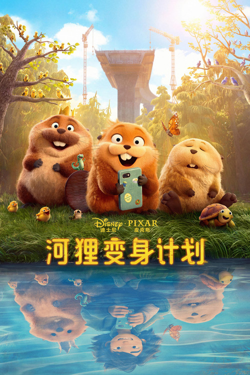 河狸变身计划 海报
