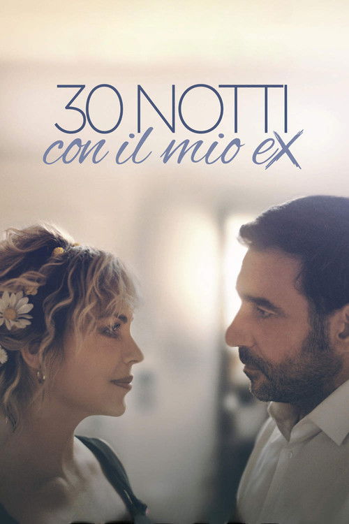 30 notti con il mio ex 海报