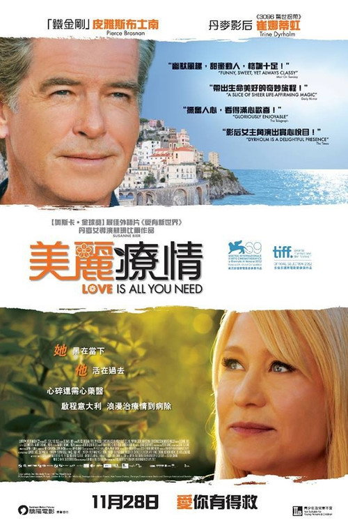 你需要的就是爱 海报
