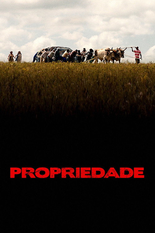 Propriedade 海报