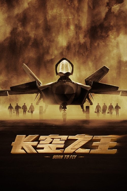 长空之王 海报