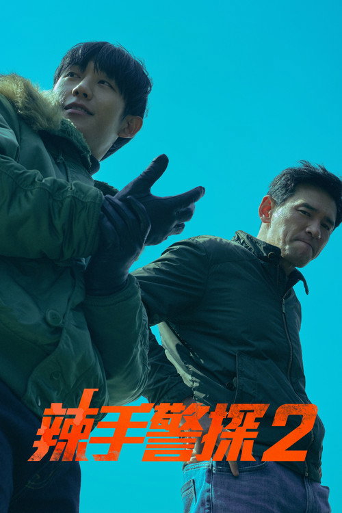 老手2 海报