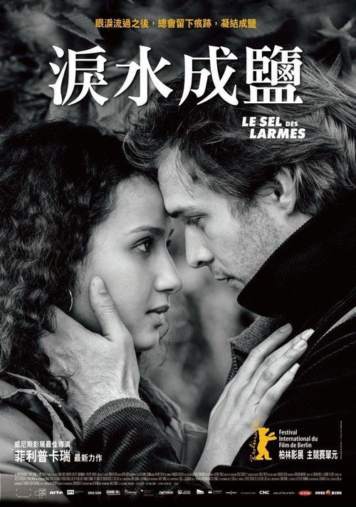 眼泪之盐 海报
