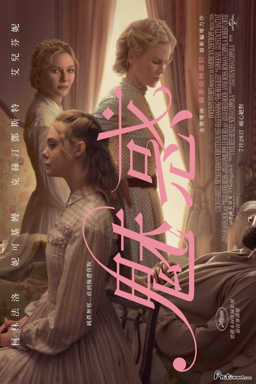 牡丹花下 海报