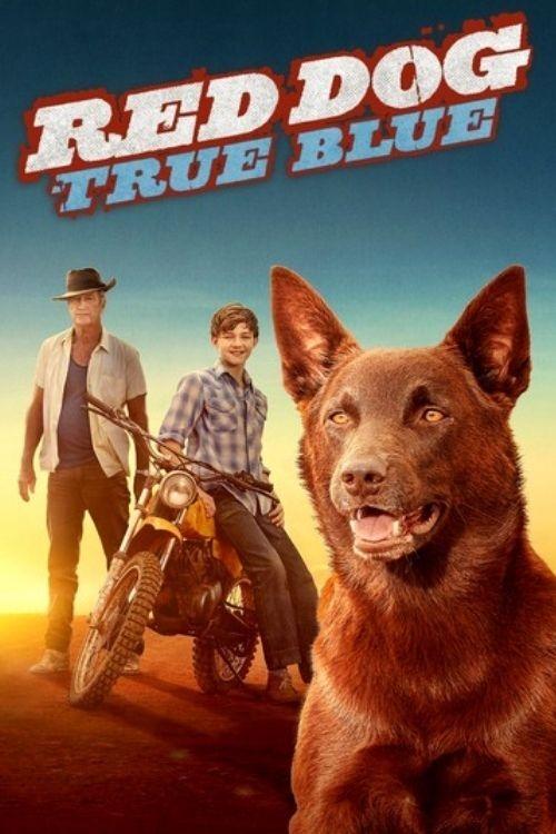 红犬历险记2：蓝犬 海报
