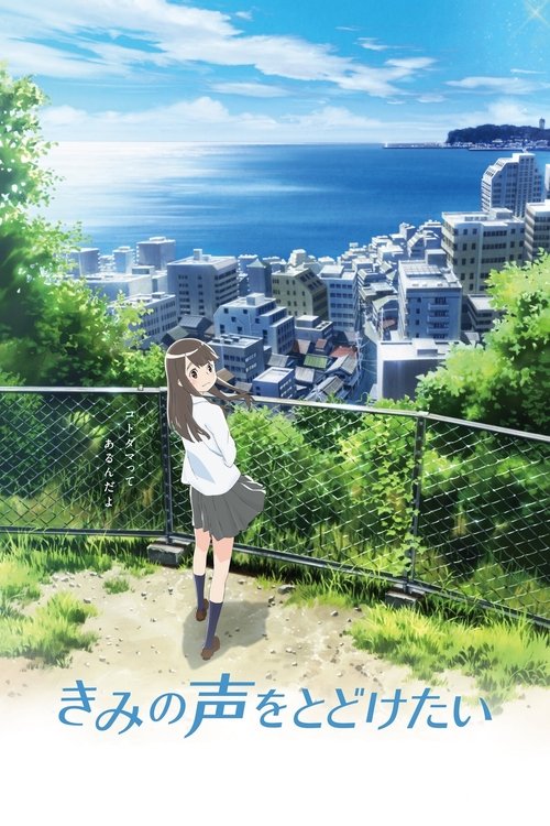 想要传达你的声音 海报