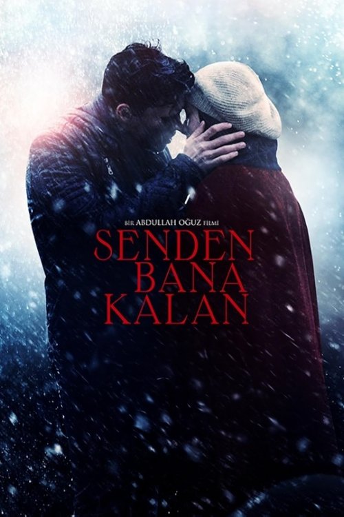 Senden Bana Kalan 海报