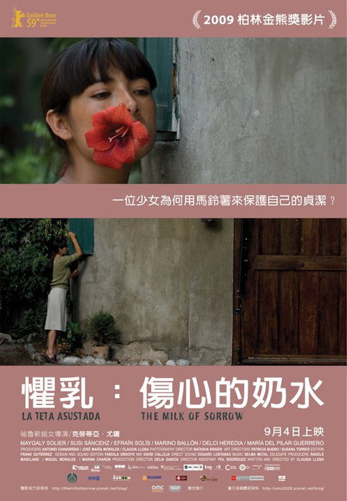 伤心的奶水 海报