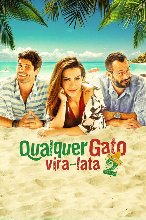 Qualquer Gato Vira-Lata 2 海报
