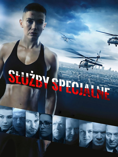 Służby specjalne 海报