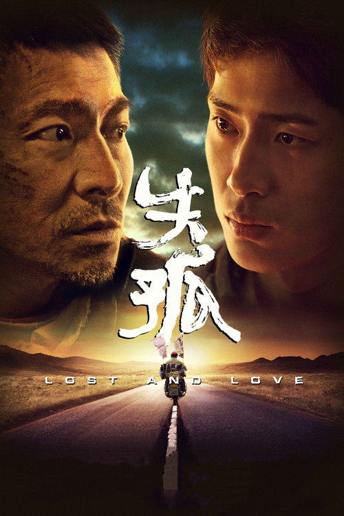 失孤 海报