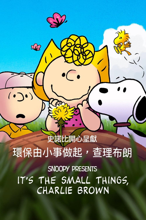 史努比特辑：好事一小朵，查理·布朗 海报