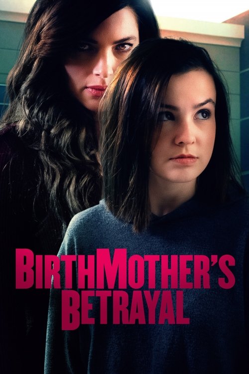 Birthmother's Betrayal 海报