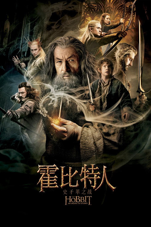 霍比特人2：史矛革之战 海报