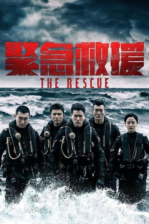 紧急救援 海报