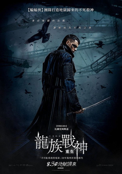 乌鸦 海报