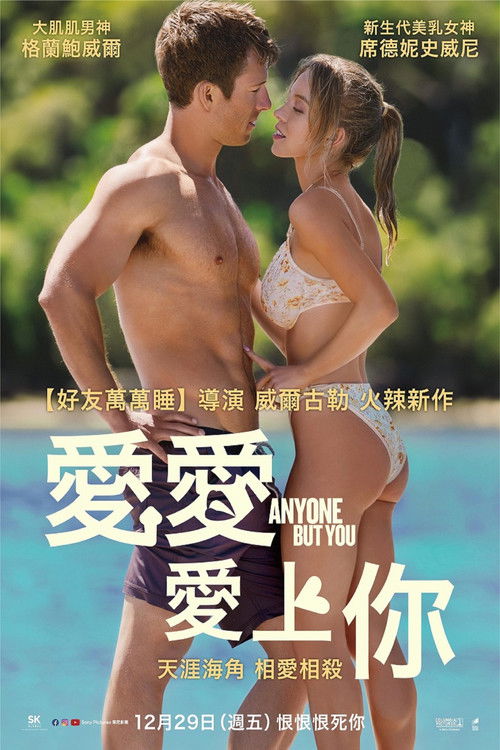 只想爱你 海报
