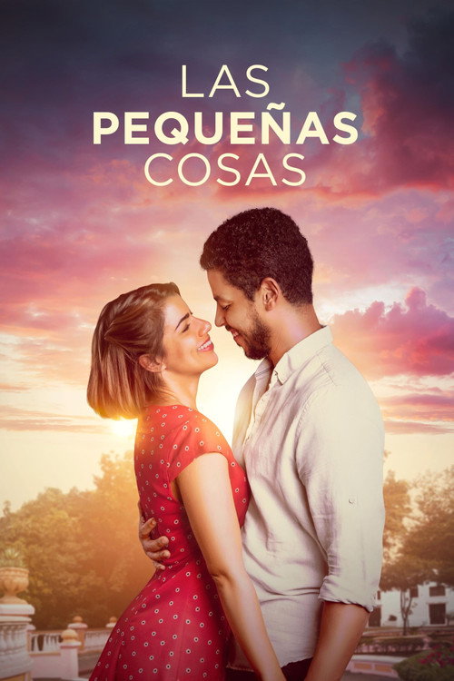 Las pequeñas cosas 海报