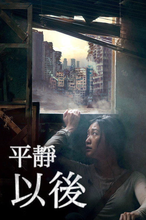 平静之外 海报