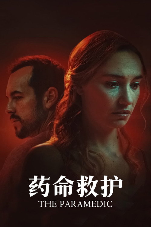 护理师 海报
