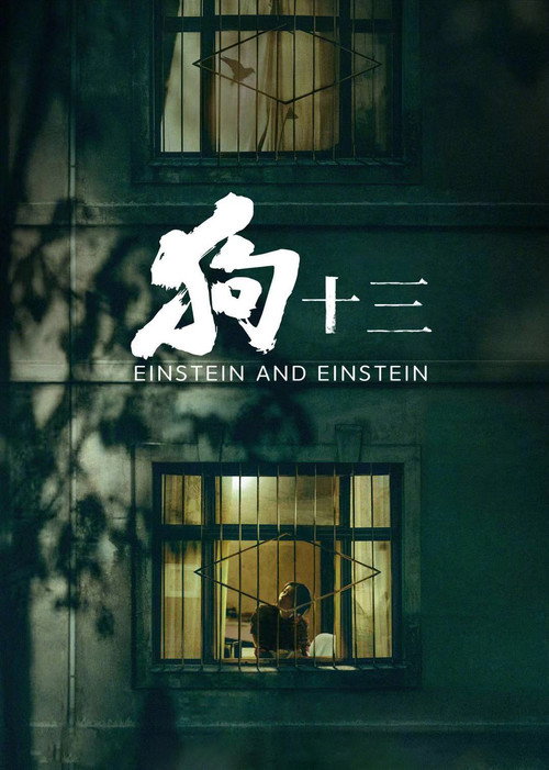 狗十三 海报