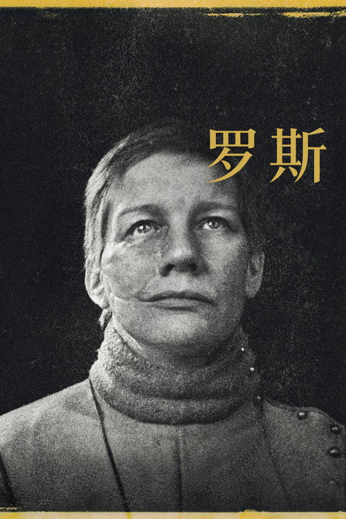 罗斯 海报